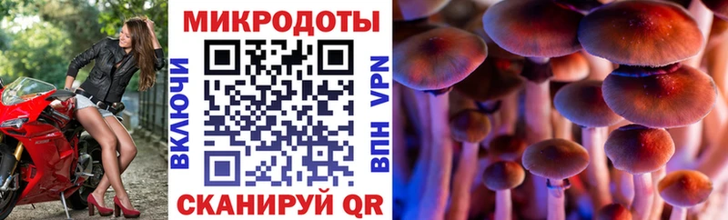 Псилоцибиновые грибы GOLDEN TEACHER  Стрежевой 
